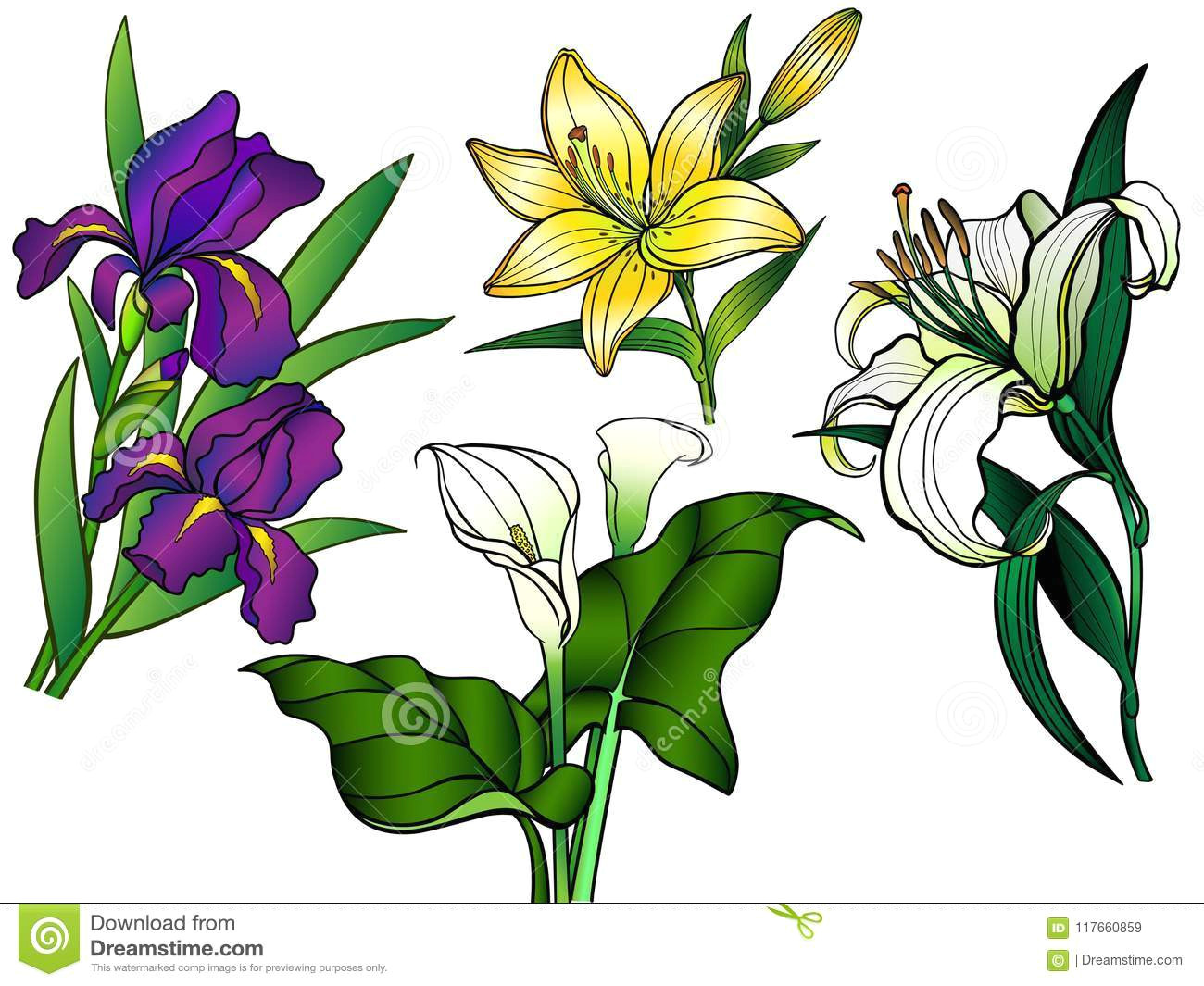 set of flowers bouquets linear flowers and leaves with a gradient callas lilies irises garden flowers