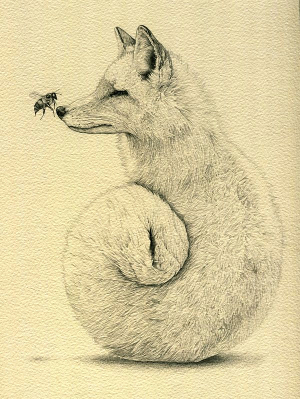 pin by kate willis on tattoo ideas pinterest art drawings and animal drawings