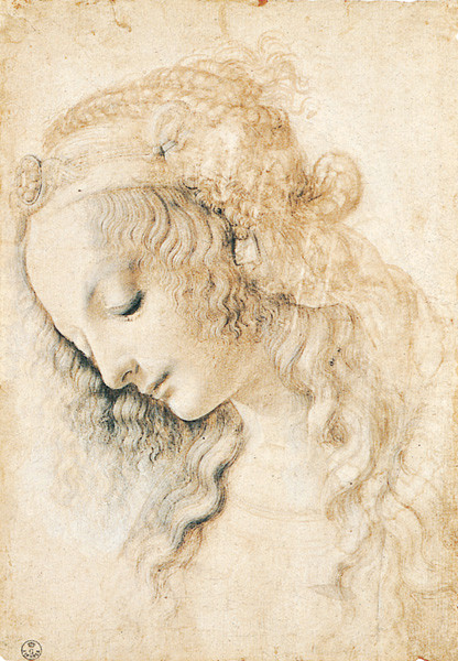 head of a young woman by leonardo da vinci a list of 10 master drawers