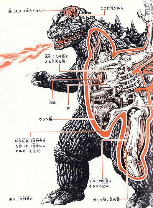 monsters anatomy shoji otomo shogo endo