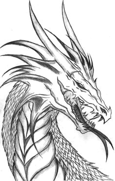 cool dragon plz draw it cool dragon drawings dragon head drawing dragon head tattoo