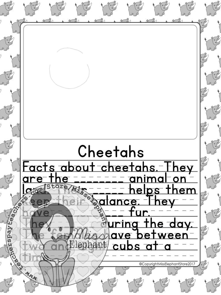 cheetah directed drawing and writing ideas for kindergarten and grade 1 fill in the blank