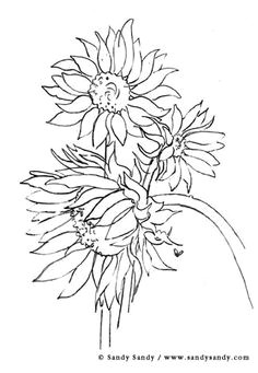 pencil drawings a simple but nice could be the start od a good mixed media sunflower sketches