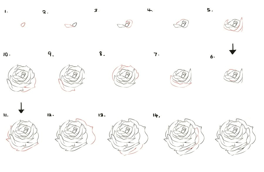 how to draw a flower