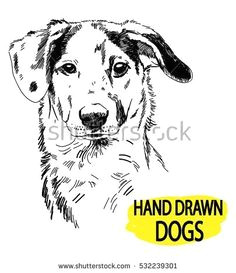 spotted dog drawing by hand a pen vintage drawing