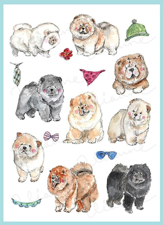 16 elements of hand drawn watercolor chow chow images this super cute animal collection is great for cards scrapbooking or any digital project you like to