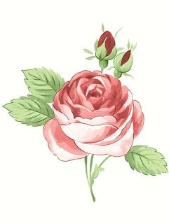 bellas ilustraciones hand drawings beautiful roses vintage flowers pink roses flower art