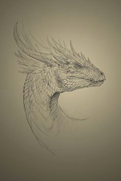 dragon sketch robert crescenzio hard drawingscool