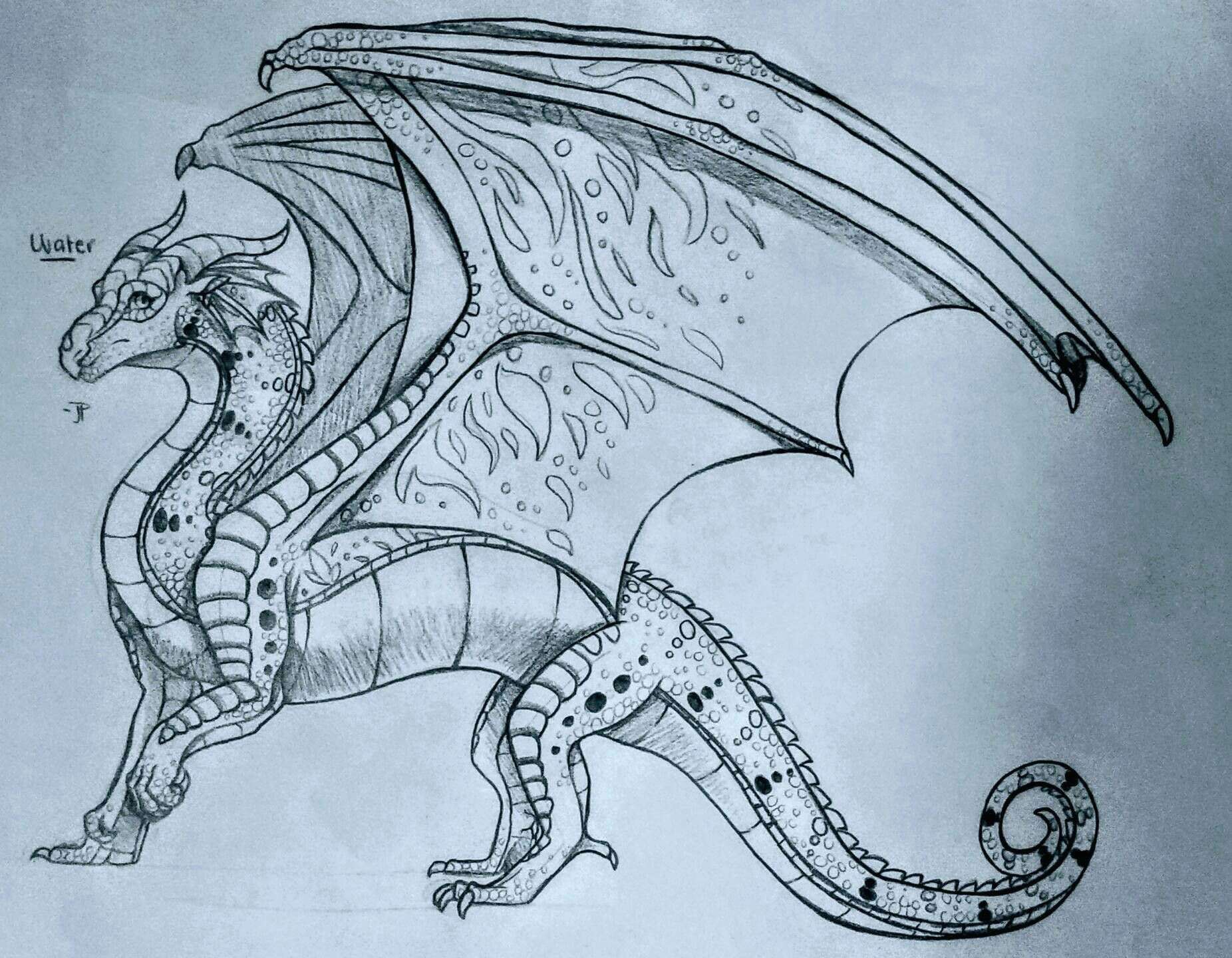 rainwing amazing drawings cool drawings pencil drawings dragon drawings wings of fire