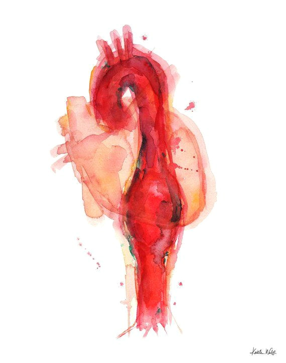 thoracic aneurysm watercolor print vasculature watercolor art doctor art anatomy art heart a