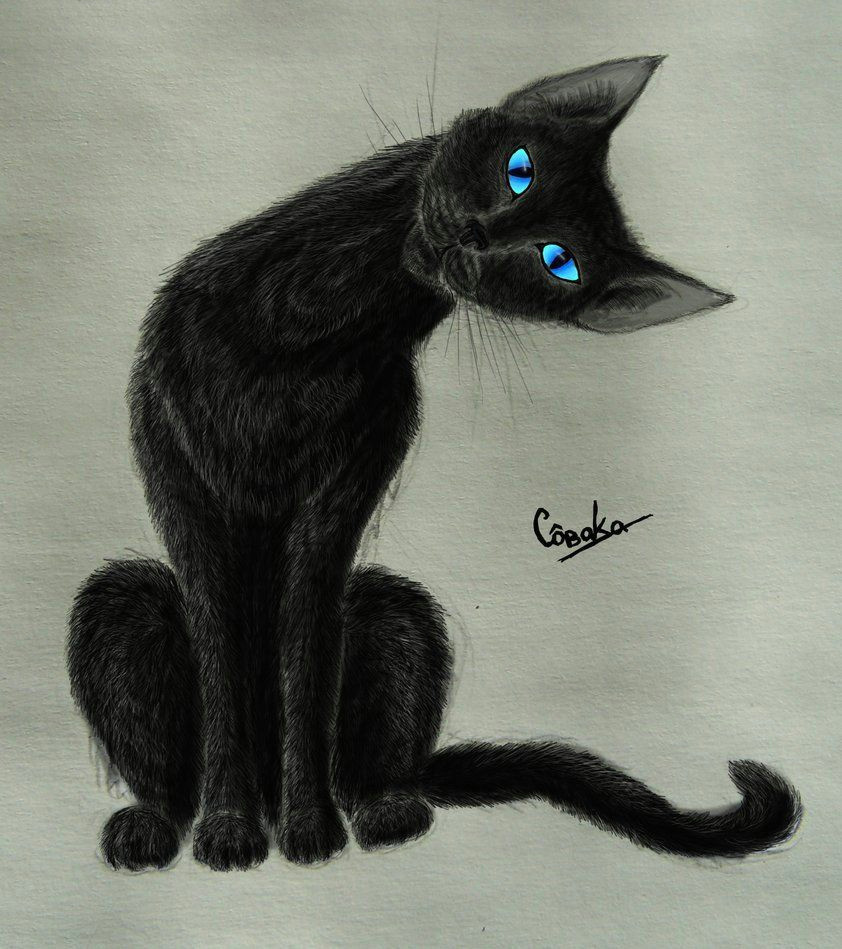 aesthetically pleasing black cat art blue eyes kitty kitten painting black gray
