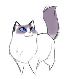 angry snowshoe this drawing tried very hard not to happen tonight but here it is cats are cute