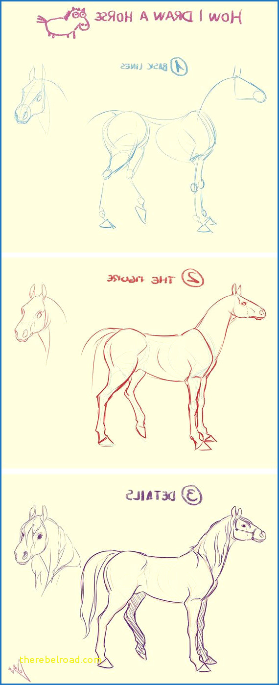 how i draw a horse by lelia deviantart collection how to draw a horse