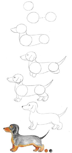 draw me dachshund drawing puppy drawings animal drawings how to draw dogs