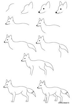 how to draw simple learn how to draw a fox with simple step by step