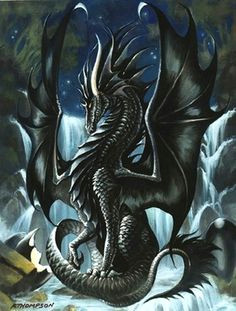 dragons voici quelques illustrations de dragons noirs tattoos drachen drachenreiter tattoo vorlagen