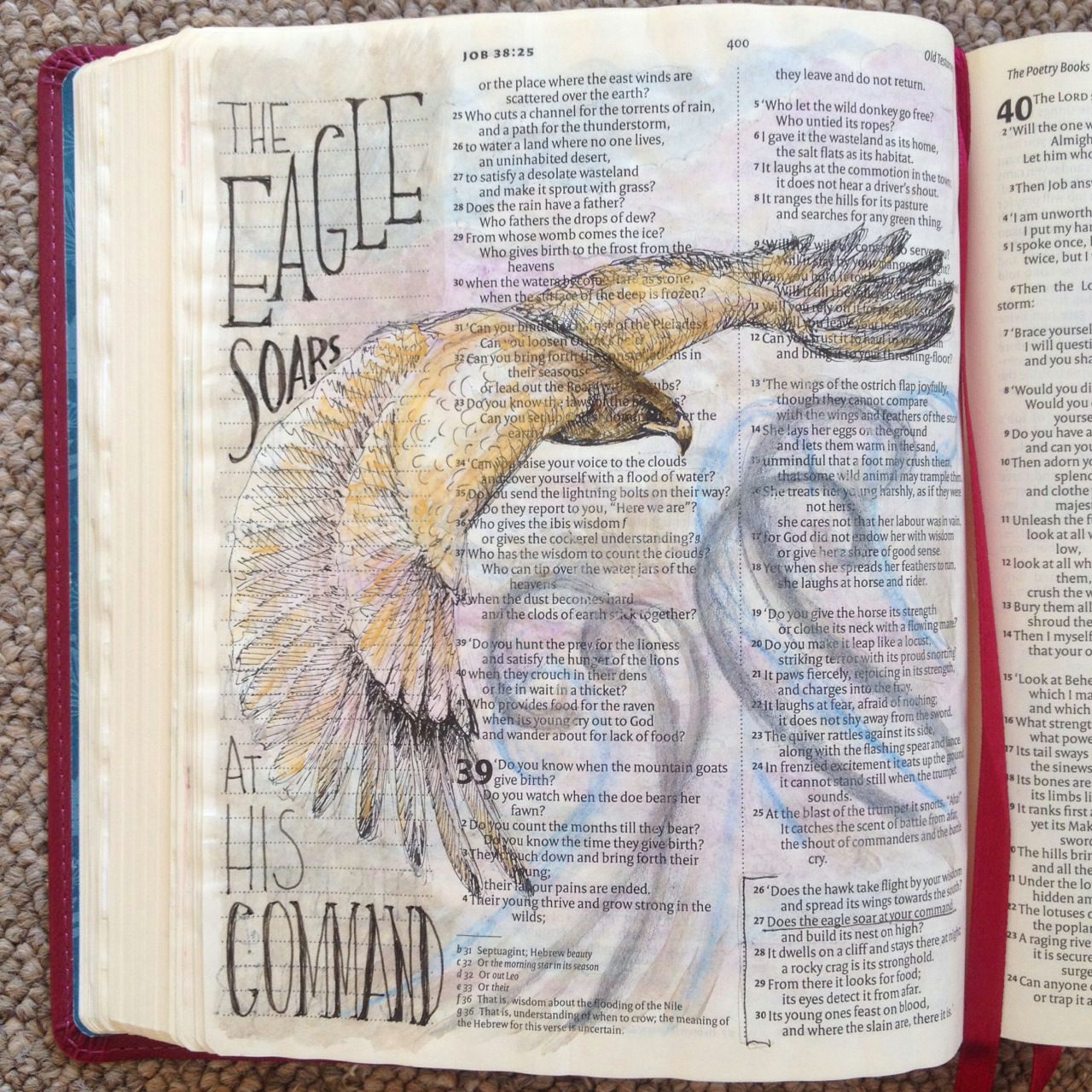 draw close blog answers attenborough bible art bible art journaling bible journal bible study eagle intense job 38 3 job 39 questions soar