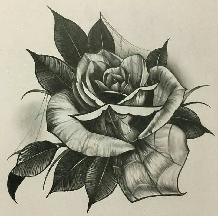 neo traditional roses flower coloring pages chicano art rose tattoos blackwork