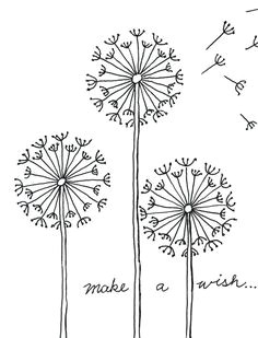 practice your fine marker skills with this how to draw a dandelion project careful drawing and tracing will make a very pretty and delicate looking flower