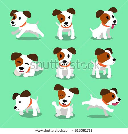 jack russell terrier clipart animal 7