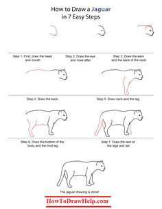 how to draw a jaguar lots of drawing tutorials at www howtodrawhelp