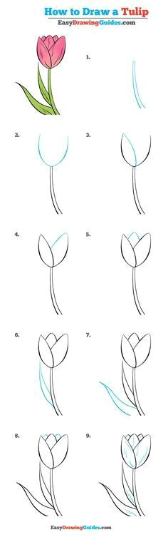 how to draw a tulip really easy drawing tutorial