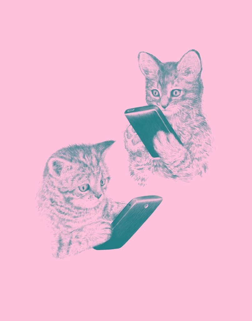 kittens texting by laser bread via cat