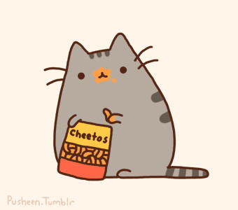 animated gif kitty adorable cheetos share or download