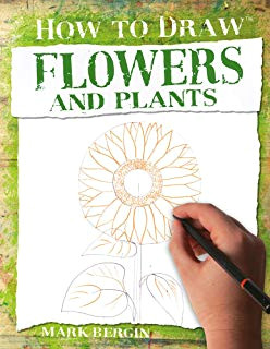 flowers and plants how to draw