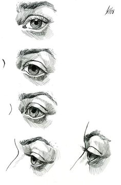 character design collection eyes anatomy eye anatomy human anatomy anatomy drawing eyeball