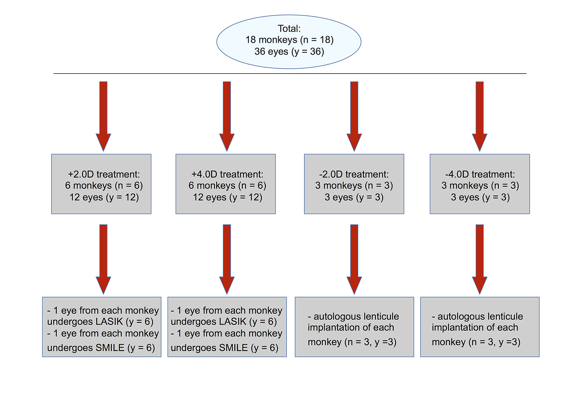 s1 fig schematic diagram of experimental protocol