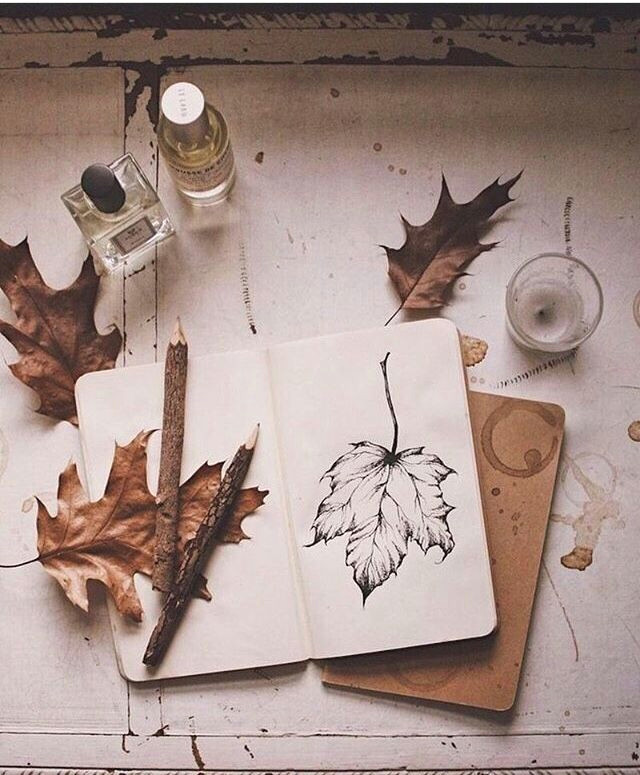 tumblr leaves artd art autumn leaves cute