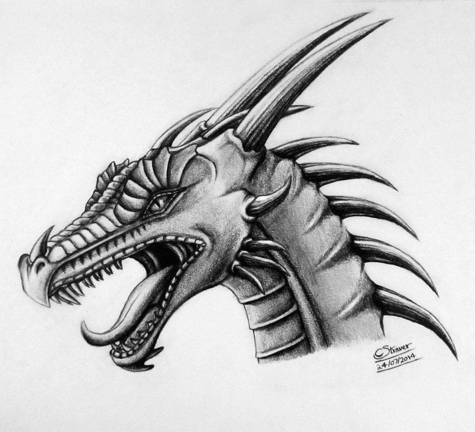 dragon head drawing by lethalchris deviantart com on deviantart