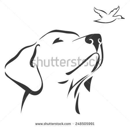 labrador head 3 stock vector