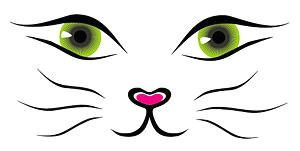 vector line drawing cat face