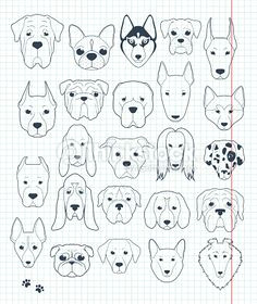 set sketches of 24 dogs different breeds handmade head of dog icons with dogs