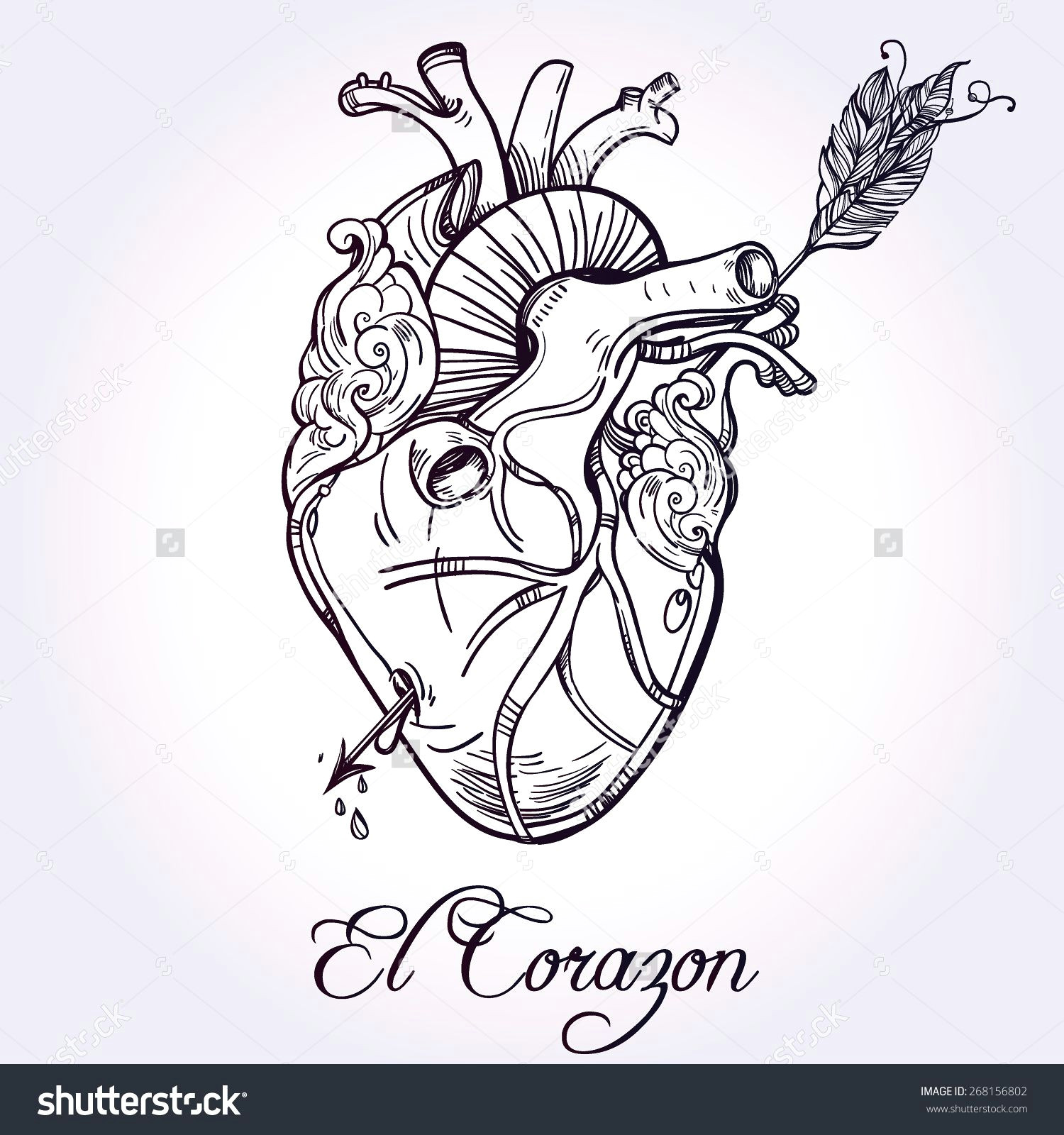 sketched hand drawn line art beautiful human heart with arrow el