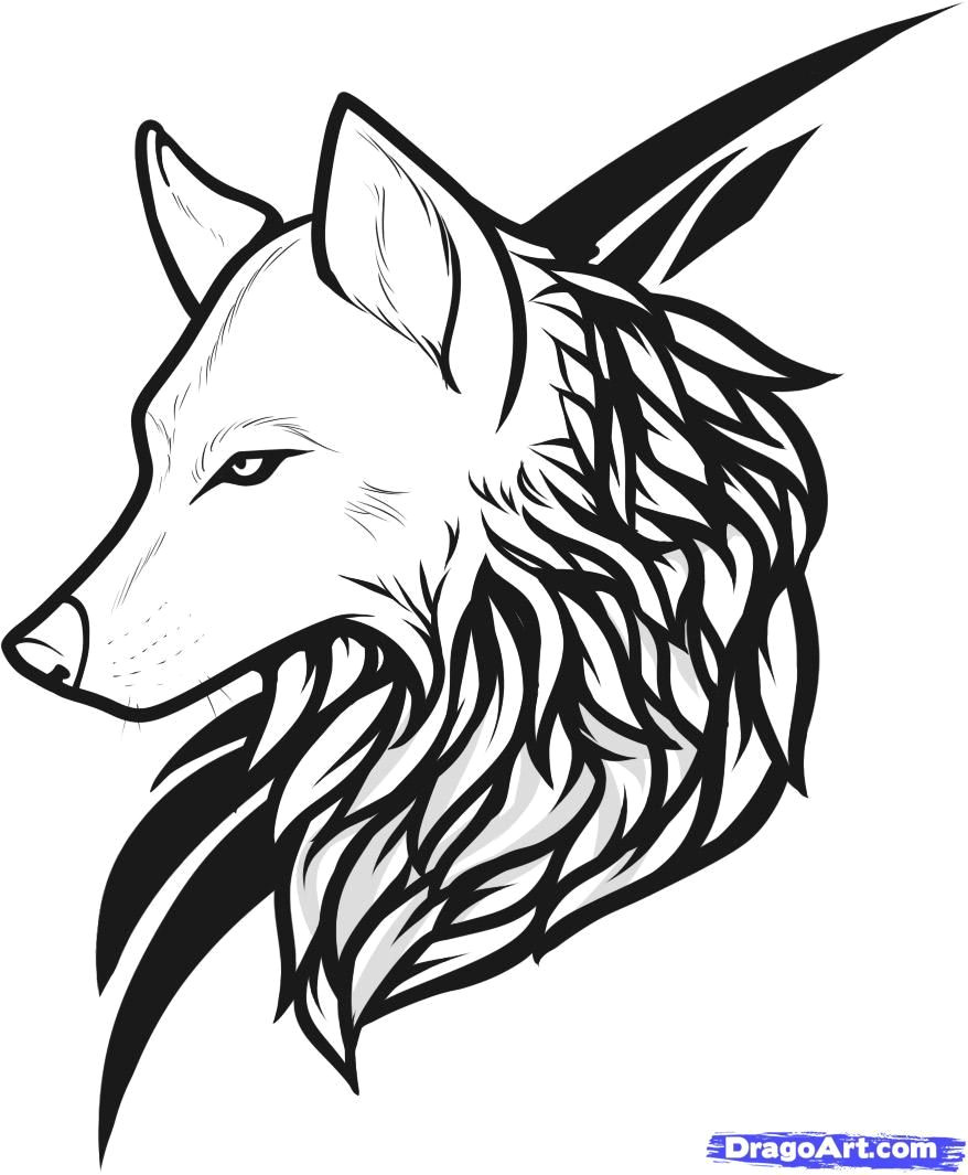 Line Drawing Of A Wolf Head Draw Wolf Tattoo Drawing and Coloring for Kids Tattoos Wolf
