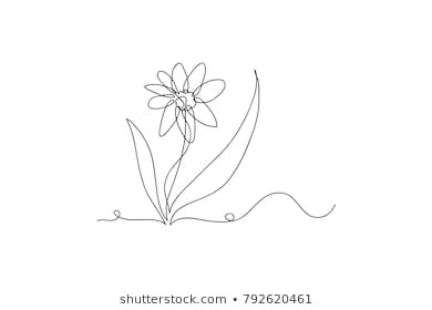 continuous line drawing of natural flowers vector illustration