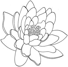 lotus flower tattoo designs amp tattoos meanings as popular as the rose is