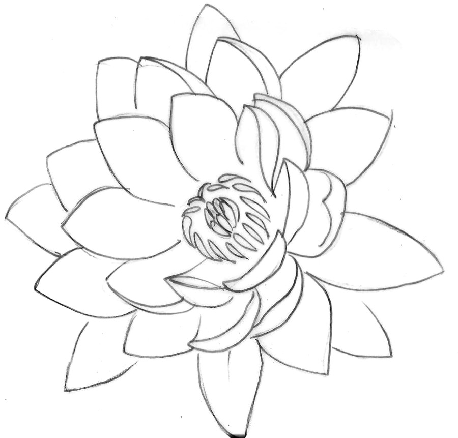 lotus tattoo 2 by metacharis on deviantart