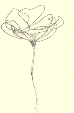 abstract pencil drawings flower line drawings botanical line drawing line flower flower