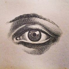 a look inside some of john derian s favorite antique books dark drawings eye drawings