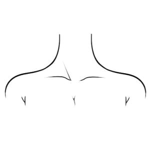 how to draw neck collar bone