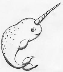 image result for narwhal drawing