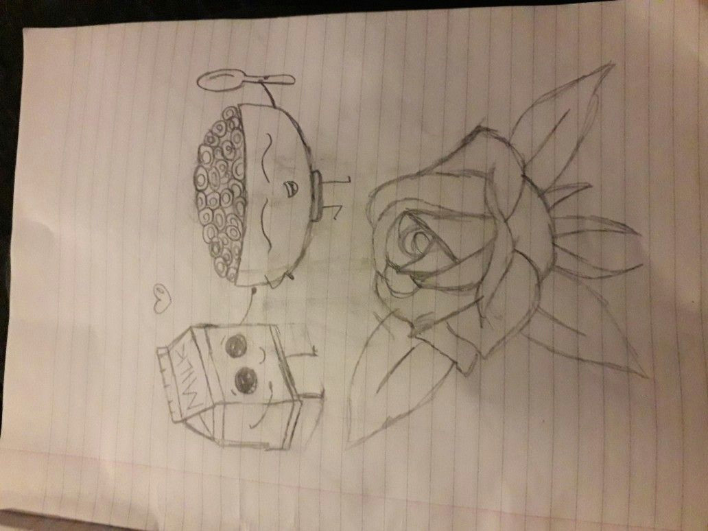 milk cereal and a rose without shading nice and easy for beginners