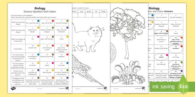 year 3 biological science questions and colouring worksheet activity sheets acssu044 living things
