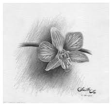 orchid sketch by faith te realistic orchid flower drawing in a liked