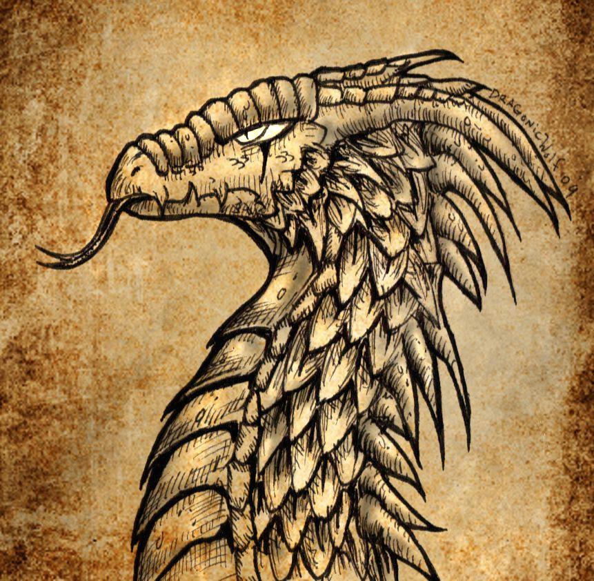 ancient dragon by dragonicwolf on deviantart