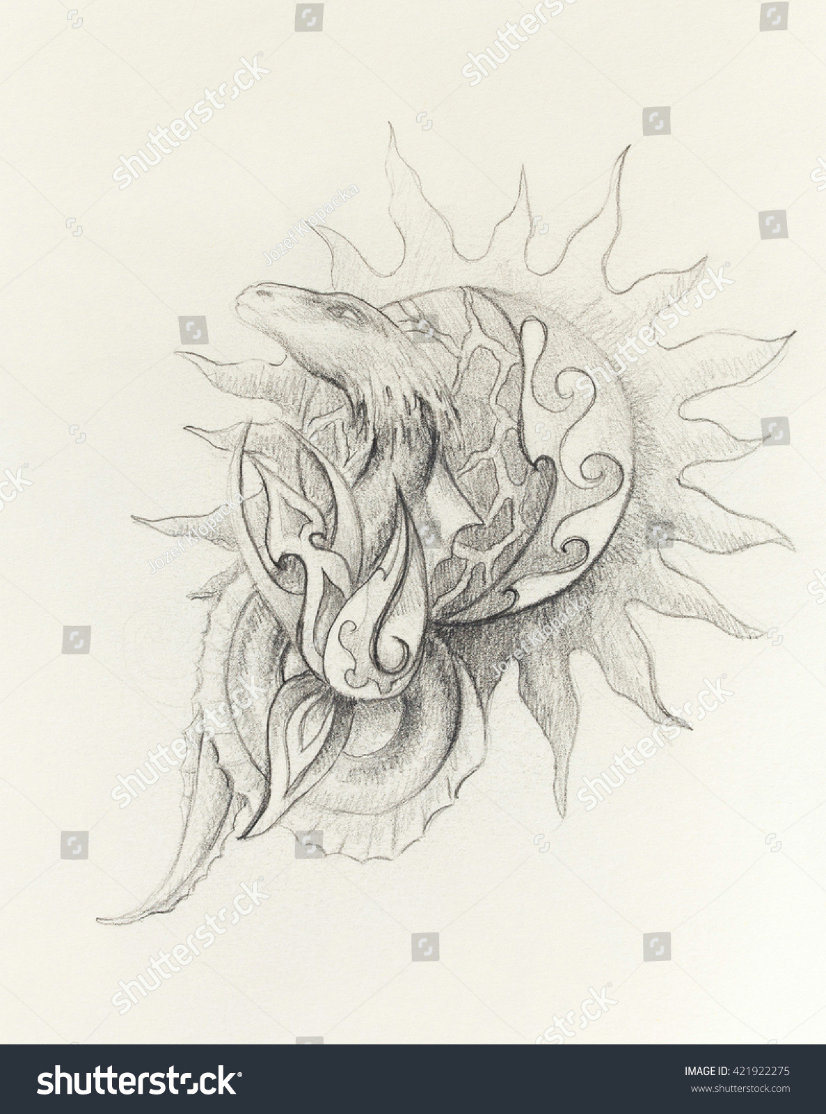 drawing of ornamental dragon and sun on old paper background